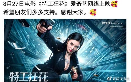 作假农业银行对公流水账单